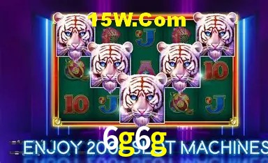 Experiência VIP 6g6g